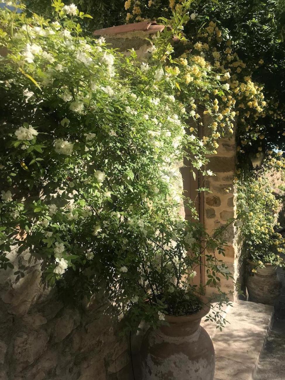 Les Vieux Murs Montfort  Exteriör bild