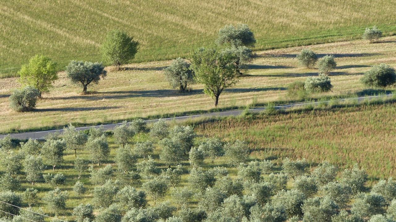 Les Vieux Murs Montfort  Exteriör bild